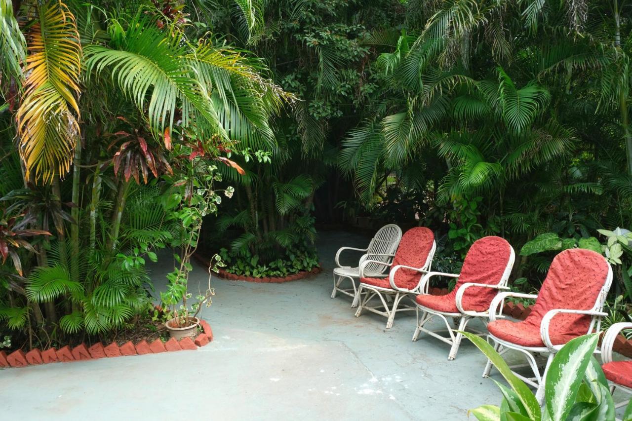 Palm Grove Cottages - Leisure Resort Benaulim Exterior foto